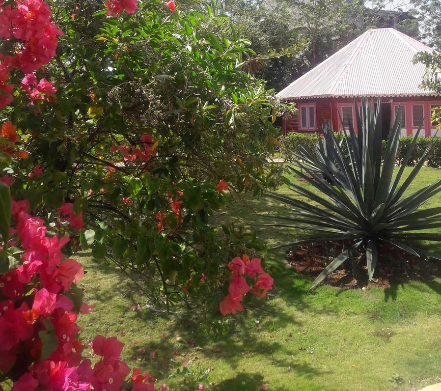 Las Puertas Del Paraiso Río San Juan Екстериор снимка